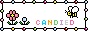 Candiedさん
